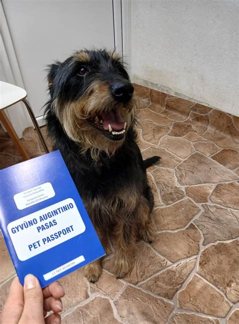 Vaikų apsilankymas gyvūnų gerovės tarnyboje 