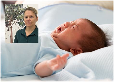 Schema, kaip plinta tridienė karštinė