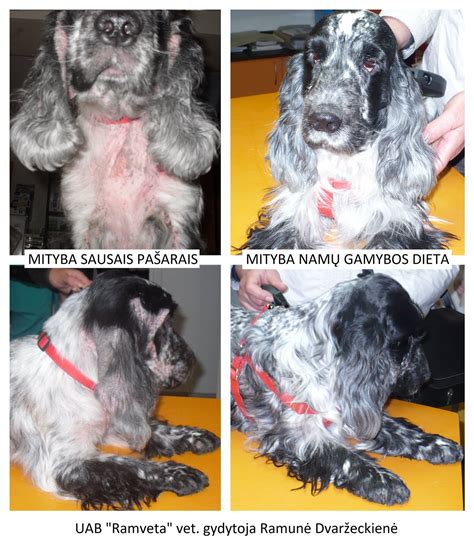 Simptomai ir požymiai, kai placenta yra žemai