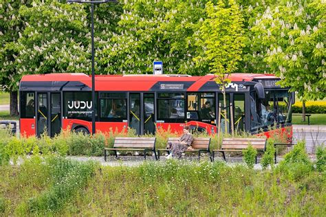 Autobusas papuoštas natomis