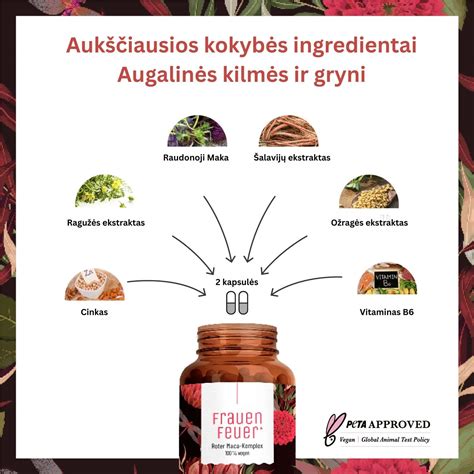 Sveikatos patarimai poroms, planuojančioms šeimos pagausėjimą