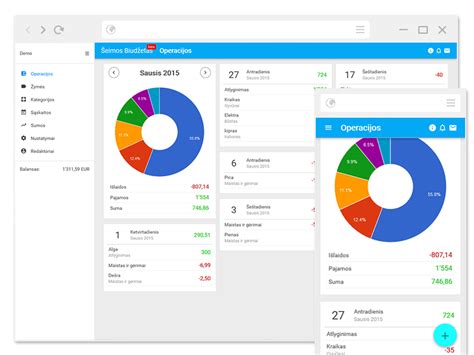 šeimos biudžeto planavimas