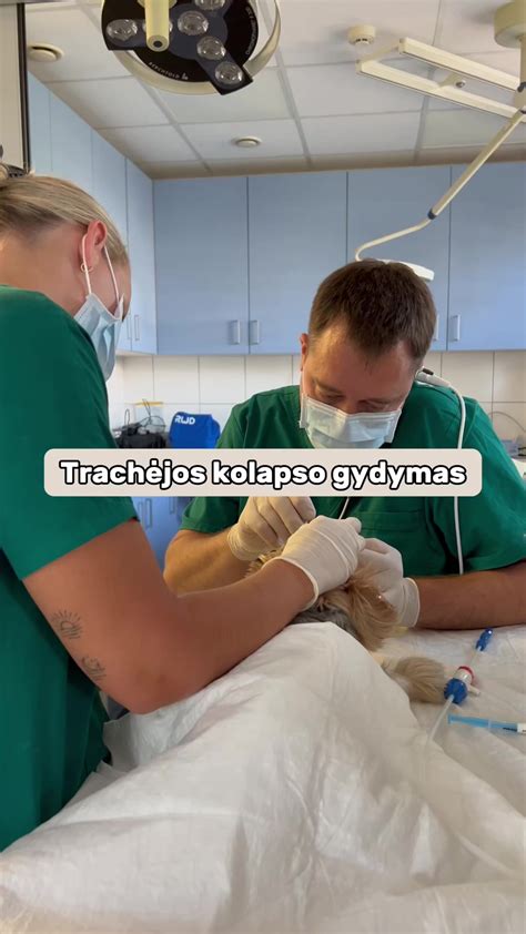 Nuotrauka: Medicininė procedūra pūlinio atvėrimui