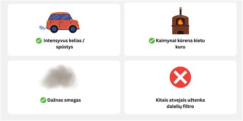 Schema, kaip veikia aktyvintos anglies sorbcinis poveikis