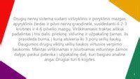 infografika: vaikų draudimo rūšys ir jų privalumai