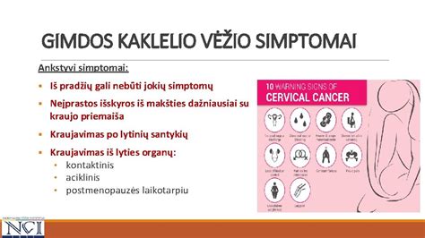 Schematinis gimdos ir gimdos kaklelio pokyčių vaizdavimas po gimdymo