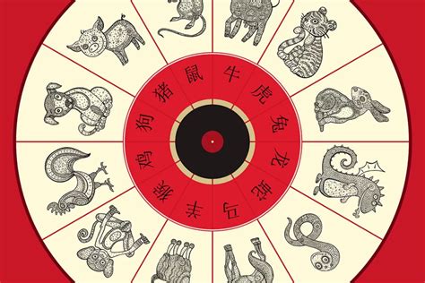 Kinų zodiako suderinamumo diagrama