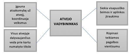 Schema atvejo vadybos proceso