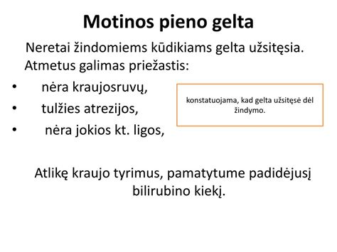 Schematinis motinos pieno gamybos procesas