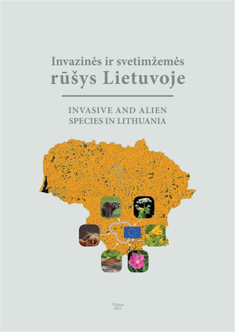 Įvairios socialinių paslaugų rūšys Lietuvoje