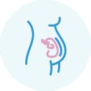 vaisiaus dydis 22 nėštumo savaitę