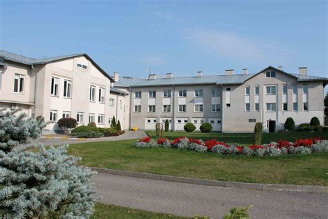 Infografika apie socialinės globos svarbą