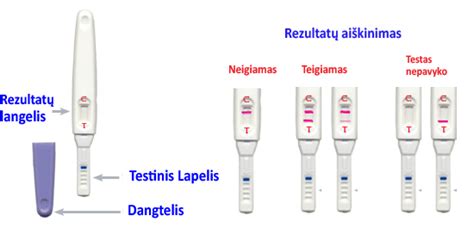 Nėštumo testų tipai