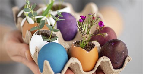 rankdarbiai iš tuščio kiaušinio lukšto