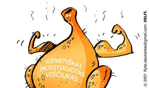 popierinis viščiukas