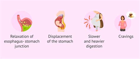 infographic on digestive issues during pregnancy