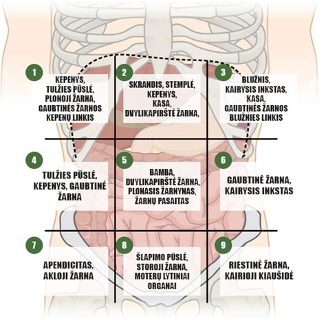 Vaiko pilvo skausmas - infografika
