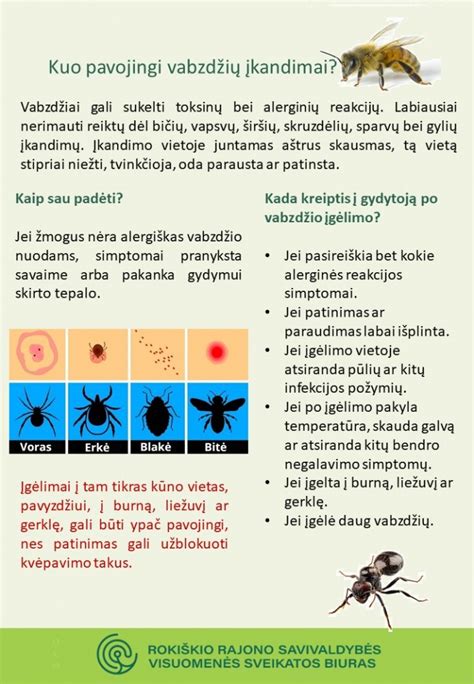 schematinis vabzdžių įgėlimų palyginimas