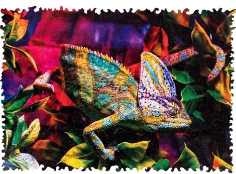 Chameleonas matuoja atstumą liežuviu