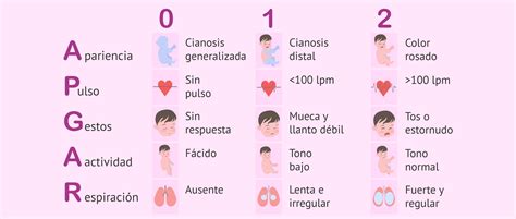 Apgar testo lentelė su balų skaičiavimu
