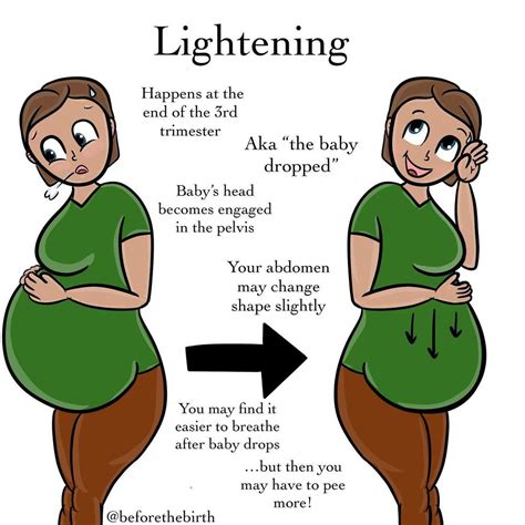 pregnant belly dropping before labor