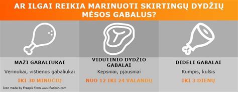 Skirtingų rūšių kiaušinių palyginimas