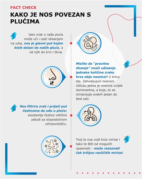 Infografika, rodanti otito prevencijos žingsnius