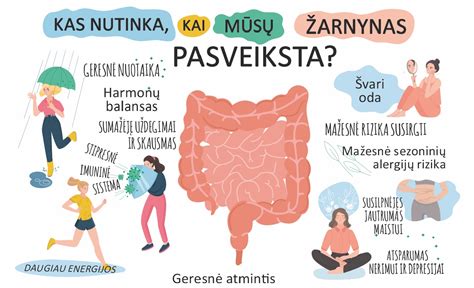 Vaizdinė schema, iliustruojanti žarnyno anatomiją ir galimas obstrukcijos vietas