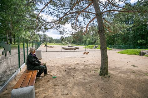 Nuotrauka gyvūnų vedžiojimo aikštelės Biržuose
