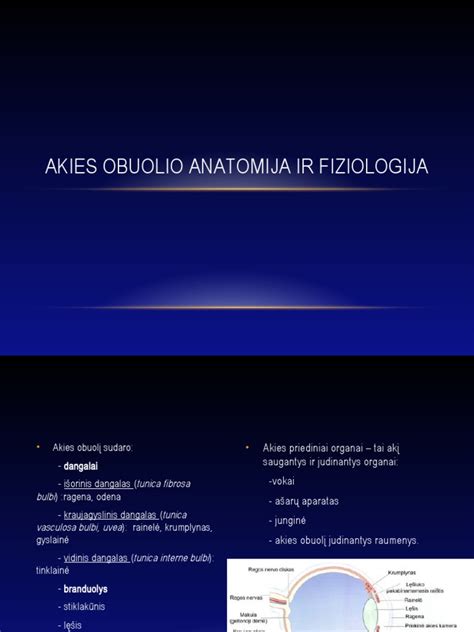 Anatomija dešiniojo šono organų