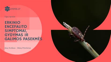 Simptomai ir pasekmės, kylančios dėl rezus konflikto