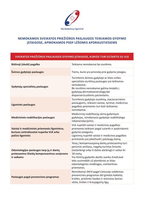 Schema, kaip teikiamos fizinės sveikatos priežiūros paslaugos