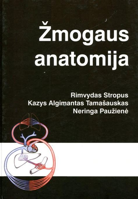 Anatomija žmogaus tiesiosios žarnos