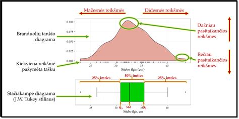 schematinis žaislinių vežimėlių tipų palyginimas