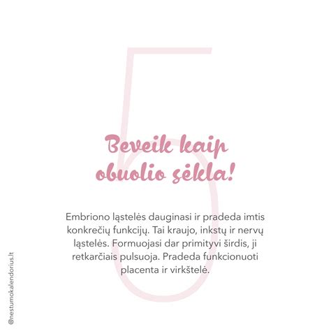 Infografika: Vaisiaus vystymosi etapai pagal nėštumo savaites