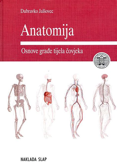 Kūdikio anatomija