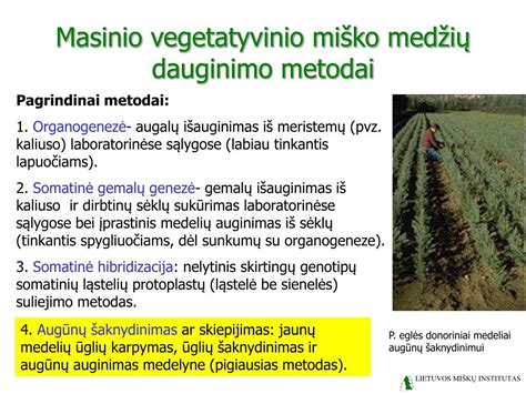 Schematinis Omni-Heat technologijos pavaizdavimas
