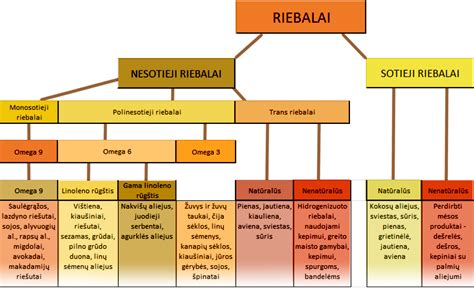 Sveiki ir nesveiki riebalai