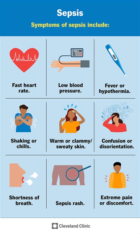 Infografika: Subchorioninės hematomos priežastys, simptomai ir gydymas