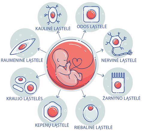 Naujagimio bamba po virkštelės nukritimo