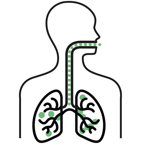 Inhaliatoriaus veikimo principas