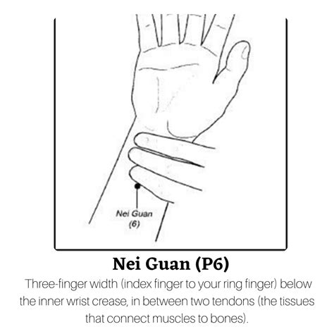 Akupresūros taško P6 (Nei Guan) vieta