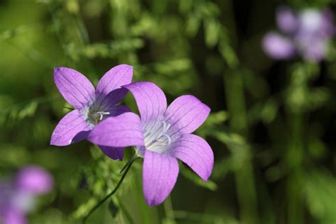 Moters oda skirtingais gyvenimo etapais