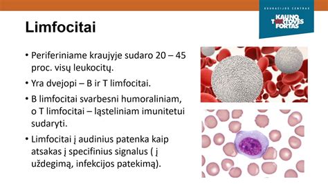 Schema, kaip kraujas kaupiasi po skaidria jungine, sukeldamas matomą kraujosruvą