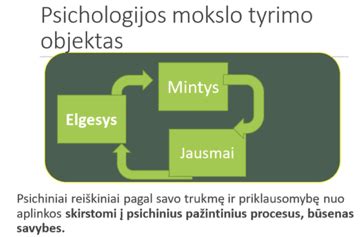 Sociologijos tyrimų objektas