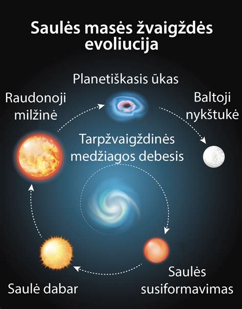 Rašto evoliucijos schema