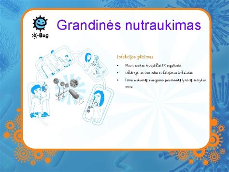 Infekcijos grandinė ir prevencijos būdai