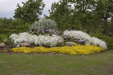 Vaikų darželio kiemas vasarą