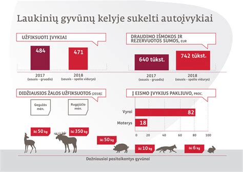 Schema kaip elgtis partrenkus laukinį gyvūną