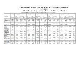Finansinių rodiklių analizė: pelningumas ir efektyvumas